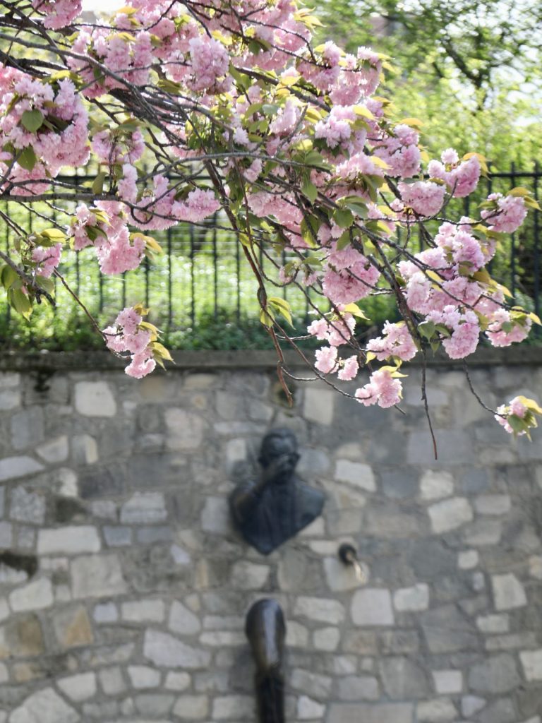 cherry blossoms framing a statue of a man coming out of a wall