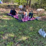 nature day forest school – seeds
